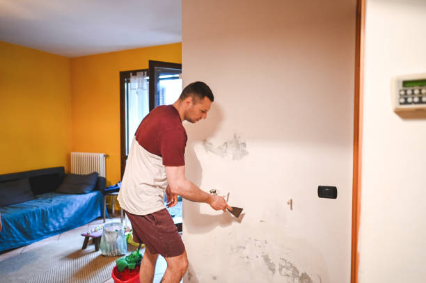 Best Crawl Space Mold Remediation in Norwood, OH